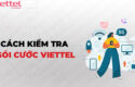 tai-sao-gia-cuoc-internet-viettel-da-nang-lai-co-su-chenh-lech-giua-cac-khu-vuc-0